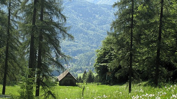 Bauernkogel_06.06.2024__1_.JPG  