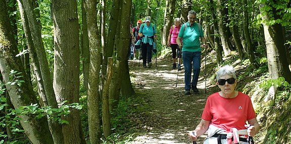 Wanderung_Lambach_1.JPG  