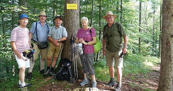 Molln_29.08-2024_2_.JPG  